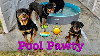 We Got Our Dogs a Pool Rotty Ranch Vlogs 018 [upl. by Siuluj475]