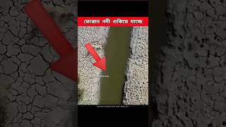 ফোরাত নদী শুকিয়ে স্বর্ণ বের হচ্ছে কিয়ামত নিকটবর্তী হচ্ছে।islamicshorts furat river islamicvideo [upl. by Hilly]