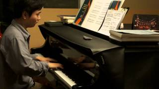 Schindlers List ，Piano Version played by Wenyu Shen，钢琴家沈文裕演奏约翰 威廉姆斯《辛德勒的名单》主题曲 [upl. by Baker]