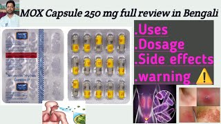 Mox 250 capsule use dose benefits and side effects full review in bengali [upl. by Aleece]