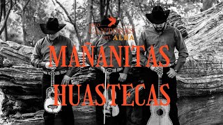 LAS MAÑANITAS HUASTECAS Trío Cantores del Alba [upl. by Aital]