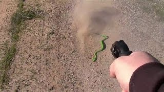 Ruger LCR 22 LR VS Snake [upl. by Josi]