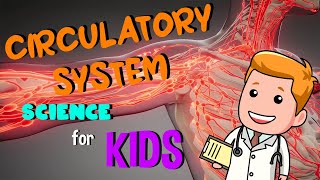 Circulatory System  Science for Kids [upl. by Lsiel]