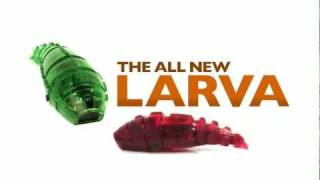 HEXBUG Larva [upl. by Ricca]