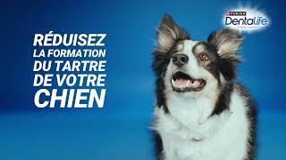 DENTALIFE® CHIEN Hygiène BuccoDentaire pendant 28jours [upl. by Roderigo]