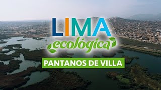 Lima Ecológica Celebramos el aniversario de los Pantanos de Villa [upl. by Laynad351]