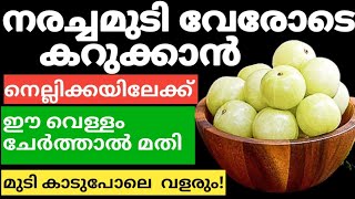 Natural Hair Dyeനരച്ചമുടി വേരോടെ കറുക്കാൻ നെല്ലിക്കയിലേക്ക് ഈ വെള്ളം ചേർത്താൽ മതിtrendinghairdye [upl. by Fleda]