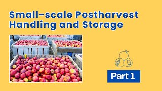 Postharvest handling and management of fruits and vegetables2 Maturity indices FT [upl. by Namurt]