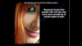 Do Redheads Feel Pain Differently   Everything You Need To Know  Dr Nabil Ebraheim [upl. by Pearlman]