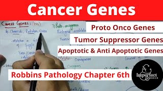 Cancer genesproto oncogenes Tumour suppressor gene Apoptotic and Anti Apoptotic genes pathology [upl. by Bouldon]