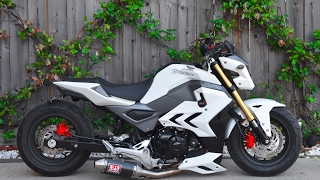 Honda Grom MSX125 MSX125sf Air Suspension Bagged Lay Frame Stretch DungStar DungStarGrom [upl. by Harlow]