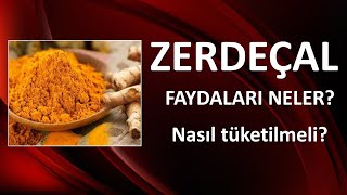 ZERDEÇALIN FAYDALARI NELERDİR [upl. by Gwenny]