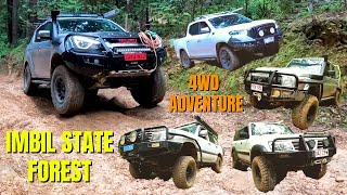 INSANE Hill Climbs MUDDY Tracks 5 Four Wheel Drives VS Imbil State Forest  Kenilworth OffRoad [upl. by Ulland]