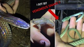 Herping vlog ep7 part1🐍 [upl. by Auhsohey816]