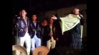 Estela Nuñez 2014 El sauce y la palma en vivo con banda [upl. by Aimehs]