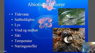 Abiotiske og biotiske faktorer [upl. by Tloh]