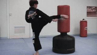 100 Taekwondo Speed Kicks in 66 Seconds  How Fast Can You Do It Take a Vote [upl. by Thrasher]