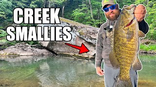 CREEK FISHING for BIG SMALLMOUTH BASS  Ohio River Tributary [upl. by Ennylcaj182]