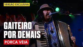 GAITEIRO POR DEMAIS  PORCA VÉIA AO VIVO  CLIP DVD [upl. by Steere]