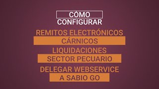 ¿Cómo configurar Remitos Cárnicos y Liquidación Sector Pecuario en Afip [upl. by Eneladgam]