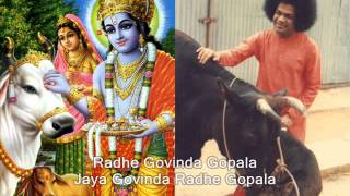 Radhe Govinda Gopala  Sai Krishna Bhajan Devotees [upl. by Constant871]