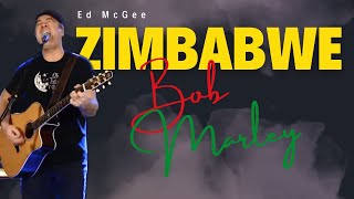 Zimbabwe  Bob Marley Cover by Ed McGee [upl. by Esertak655]