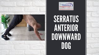 Serratus Anterior downward dog Technique video [upl. by Amora]