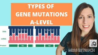 Type of GENE MUTATIONS Alevel Biology Do you know the 6 types of gene mutations [upl. by Aihsotal290]