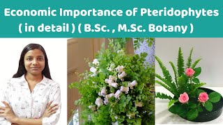 Economic Importance of pteridophytes  in detail   BSc 1st year  MSc Botany [upl. by Ahsikel486]