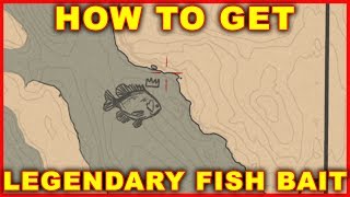 Red Dead Redemption 2 How to Get Legendary Fish Bait [upl. by Gamali]