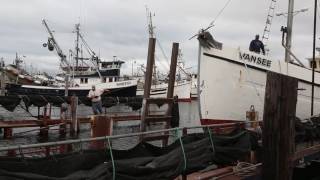 Shipyards amp Boatyards of the Ship Canal [upl. by Kipton]