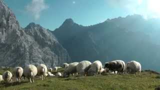 Alpenwelt Karwendel  Bergwandern und Klettern [upl. by Lleznol80]