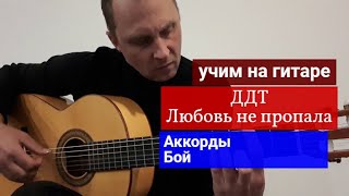 ДДТ Любовь не пропала Аккорды Бой урокигитары разборпесен какигратьнагитаре обучениенагитаре [upl. by Vassar839]