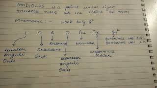 Trick to memorize all muscles of modiolus [upl. by Kokoruda]