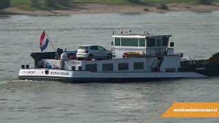 Binnenvaartschip Con Amore op rivier de Waal  Binnenvaart  shipspotting [upl. by Ahsa]