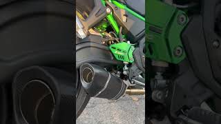 Prenditi un momento per assaporare il SOUND di questa Kawasaki Z650 2023 con il Roadsitalia 🏍️ [upl. by Treiber204]