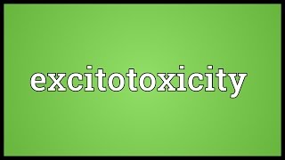 Excitotoxicity Meaning [upl. by Ylyl]