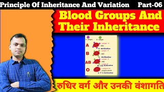 Types Of Blood Groups  Inheritance Of Blood Groups  Principle Of Inheritance And Variation [upl. by Lichtenfeld187]