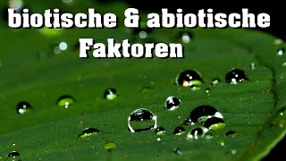 Ökologie abiotische amp biotische Faktoren [upl. by Yeltneb]