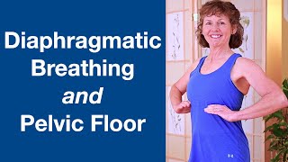 Diaphragmatic Breathing and Pelvic Floor [upl. by Anev]