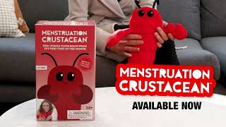 Menstruation Crustacean Heating Pad  Cuddly Lobster Heating Pad [upl. by Blaseio141]