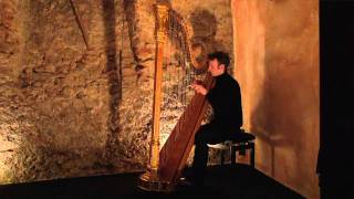 Franz Liszt  Hungarian Rhapsodie No2  Sylvain Blassel harp [upl. by Moser]