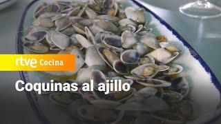 Coquinas al ajillo  Ahora o nunca  RTVE Cocina [upl. by Godliman156]