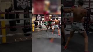 Alex Pereira sparring a pro Boxer [upl. by Lenard]