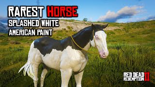 RAREST Horse In RDR2 Splashed White American Paint  FREE Horse 2023 [upl. by Knitter477]