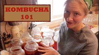 KOMBUCHA 101 Everything You Need to Know About Kombucha Brewing Flavouring and Health Benefits [upl. by Jamaal]