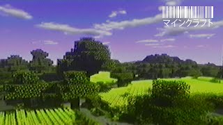 Minecraft  1989 [upl. by Laflam]