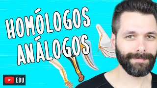 ÓRGÃOS HOMÓLOGOS E ANÁLOGOS  Evolução  Biologia com Samuel Cunha [upl. by Lenad]