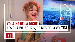 Yolaine de La Bigne  les chauvesouris reines de la voltige [upl. by Sirahc]