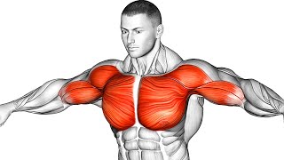 The Best Chest Workout Guide To Build A Massive Pec [upl. by Buote388]